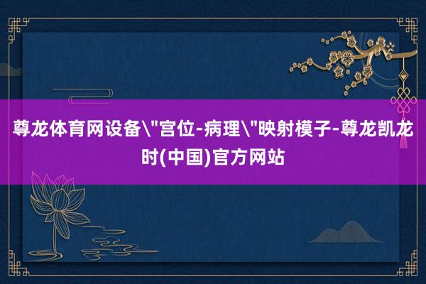 尊龙体育网设备＂宫位-病理＂映射模子-尊龙凯龙时(中国)官方网站